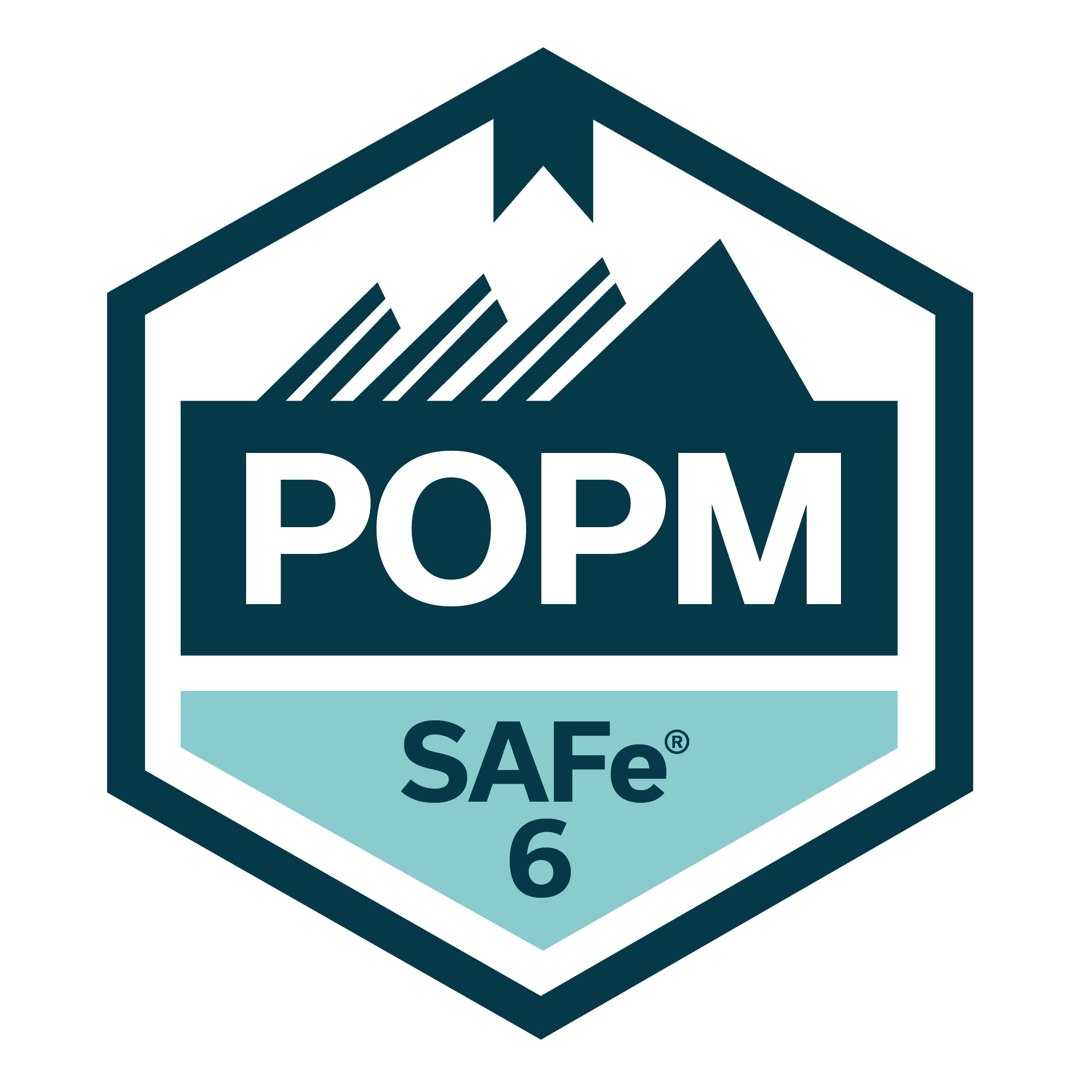 Formation SAFe PO-PM
